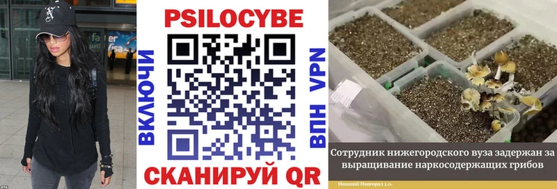 что такое наркотик  Новоржев  Галлюциногенные грибы мицелий 